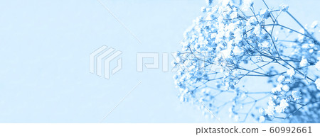 Beautiful bouquet of white flowers with shadows on light gray concrete background. Beautiful bouquet of white flowers with shadows on light gray concrete background. 60992661