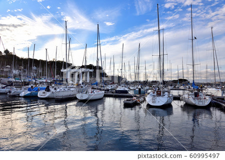 Yachts moored at Enoshima Yacht Harbor Yachts moored at Enoshima Yacht Harbor 60995497