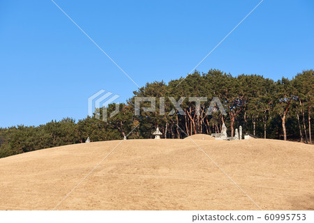 Hyeonggungneung, Hwaseong, Gyeonggi 60995753