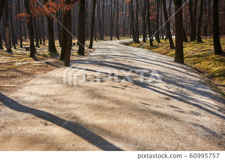 Hyeonggungneung, Hwaseong, Gyeonggi 60995757