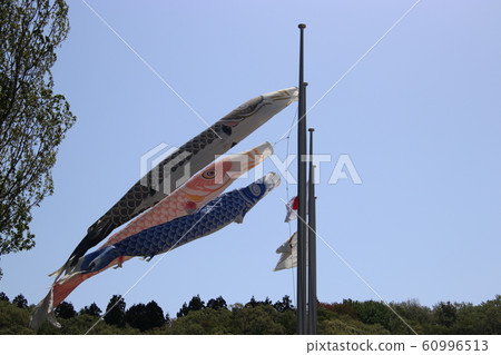 Carp streamer 60996513