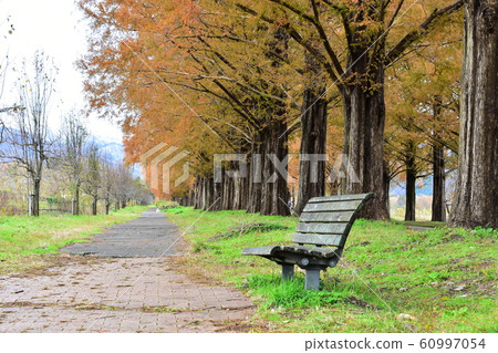 Autumn colors and promenade Autumn colors and promenade 60997054