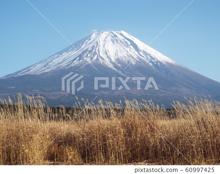 富士山 60997425