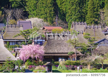 京都南丹市Miyama Kayabaki no Sato 60997736