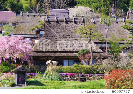 京都南丹市Miyama Kayabaki no Sato 京都南丹市Miyama Kayabaki no Sato 60997737