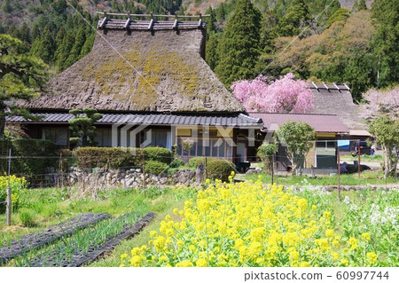 京都南丹市Miyama Kayabaki no Sato 60997744