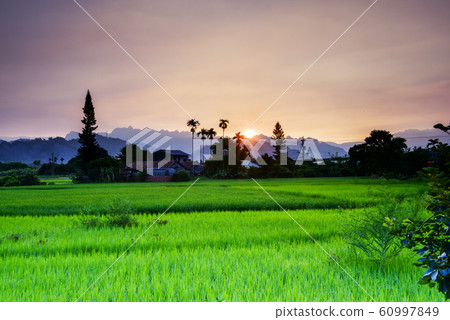 Yaki Yuka Waki Ikan Fuko Tani油大豆油Shibata Kazu Aoyama Noma。 60997849