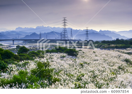 青山前是一條連續的河，河面是開放的。 60997854