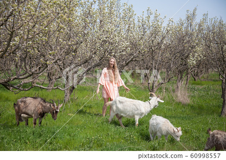 Beautiful blonde woman with animals on the farm Beautiful blonde woman with animals on the farm 60998557