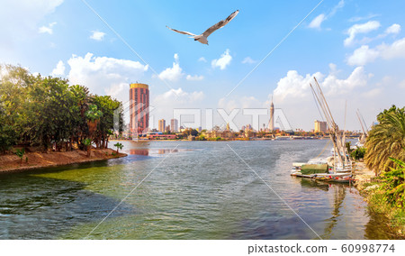 Cairo downtown view, harbour in the Nile near the Cairo downtown view, harbour in the Nile near the 60998774