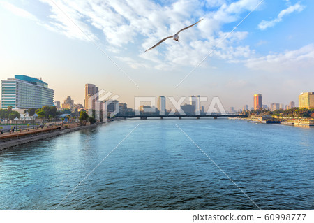 View of the Nile in the downtown of Cairo, Egypt View of the Nile in the downtown of Cairo, Egypt 60998777