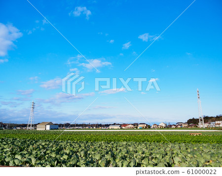 田野（冬季） 61000022