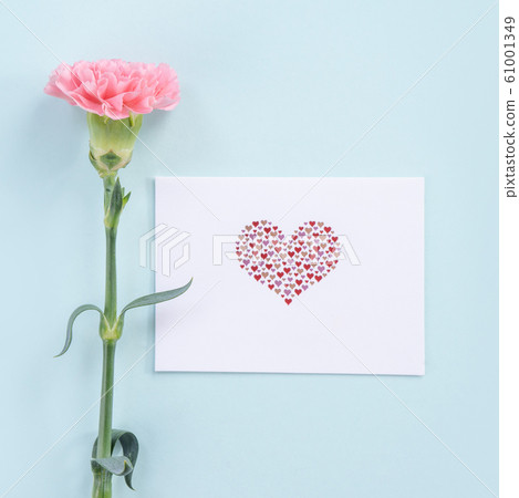 Yasuno Kaoru母親節康乃馨花粉紅色康乃馨母親節 61001349