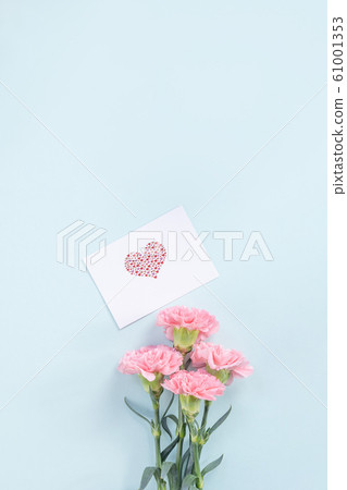 Yasuno Kaoru Mother's Day Carnation flower pink Carnation Mother's Day 61001353