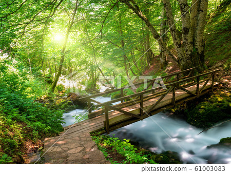 Tara springs park 61003083