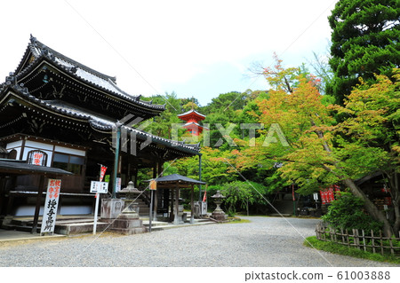 新鮮的綠色Imakumano觀音寺 新鮮的綠色Imakumano觀音寺 61003888