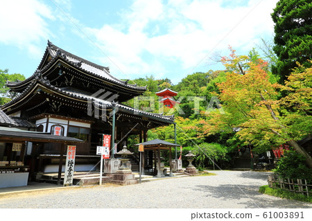 The fresh green Imakumano Kannonji Temple The fresh green Imakumano Kannonji Temple 61003891