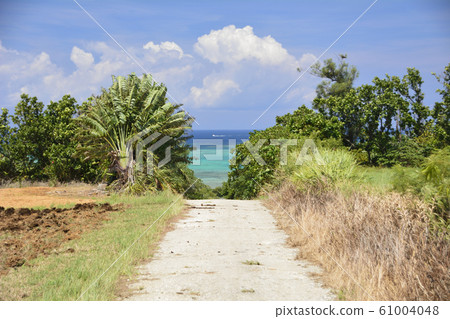 [Okinawa Ishigaki Island] Road leading to the sea 61004048
