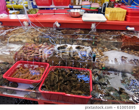 Jagalchi Market (Busan / Korea) Jagalchi Market (Busan / Korea) 61005895