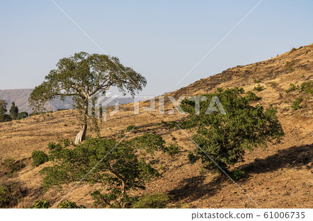 Landscape view near the Blue Nile falls, Tis-Isat in Ethiopia, Africa 61006735