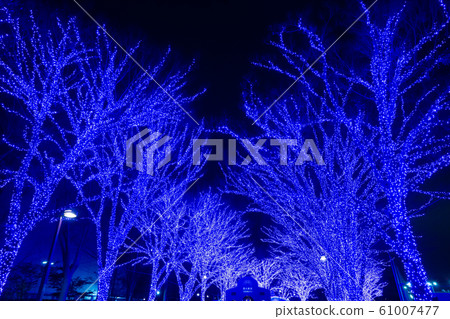 Shibuya Illuminated Blue Cave <December 2019> 61007477