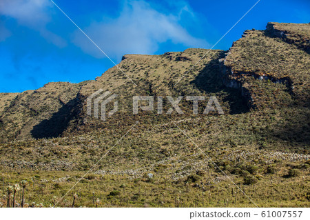 Beautiful landscape of Colombian Andean mountains showing paramo type vegetation Beautiful landscape of Colombian Andean mountains showing paramo type vegetation 61007557