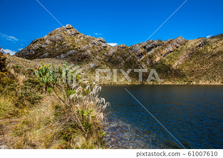 Beautiful landscape of Colombian Andean mountains showing paramo type vegetation 61007610