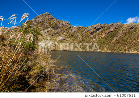 Beautiful landscape of Colombian Andean mountains showing paramo type vegetation 61007611