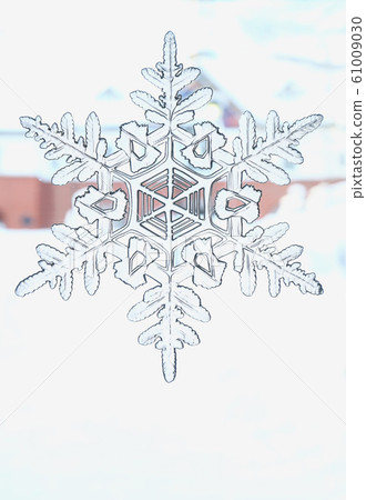 雪花 61009030