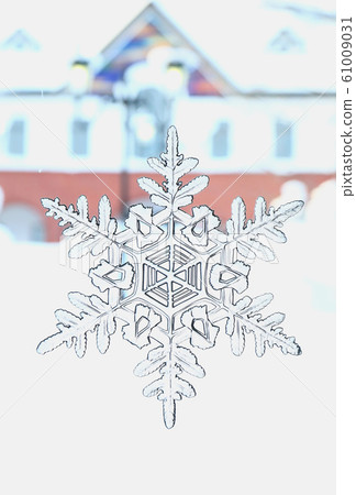 Crystal of snow	 61009031