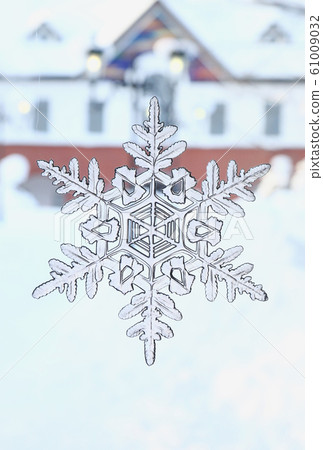 雪花 61009032