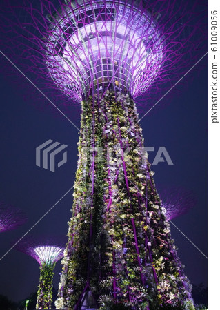 濱海灣花園 濱海灣花園 61009056