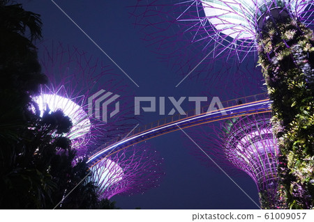 濱海灣花園 61009057