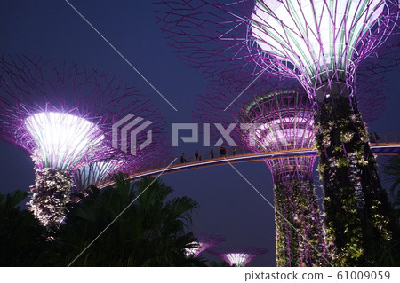 濱海灣花園 濱海灣花園 61009059