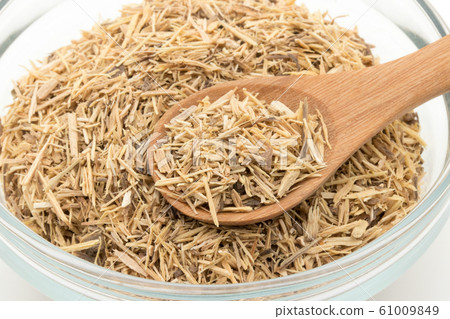 鬚根(Pfaffia paniculata) 鬚根(Pfaffia paniculata) 61009849