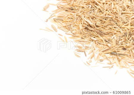 Suma root (Pfaffia paniculata) 61009865