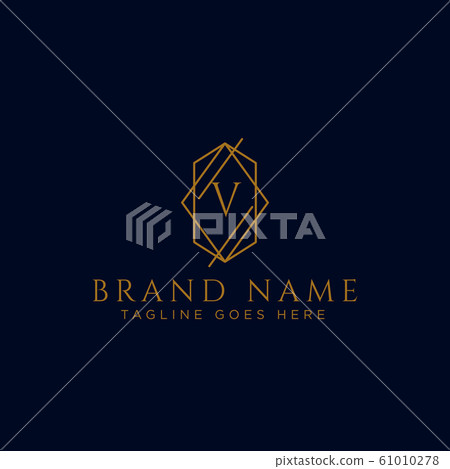 Luxury vector logotype. Premium letter v logo with 61010278