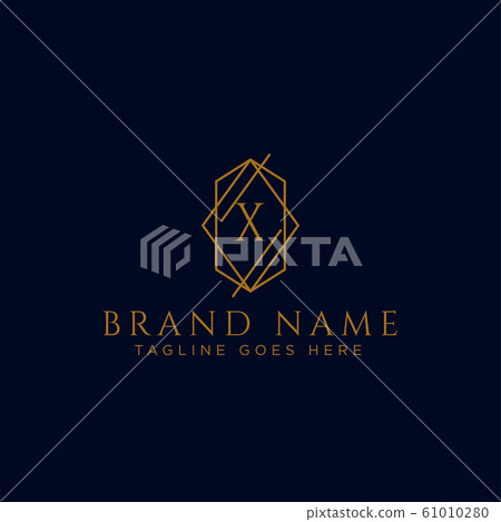 Luxury vector logotype. Premium letter x logo with 61010280