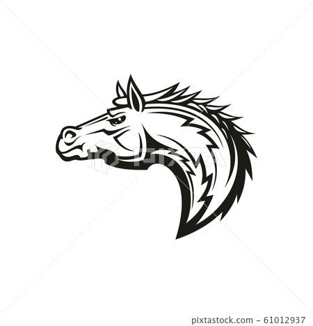 Horse head monochrome symbol, equestrian mascot 61012937