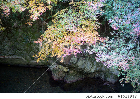 oh面山Minoh River-2的秋葉 oh面山Minoh River-2的秋葉 61013988