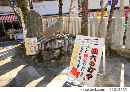 筑波路系列，香蒲油賣方 61014385