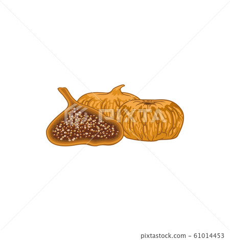 Dried fig fruits isolated whole, cut food dessert 61014453