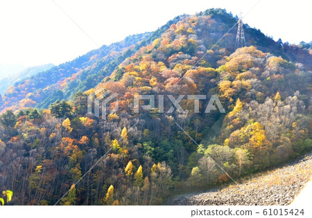 Mountain Skin of Kinu autumn 61015424