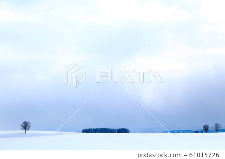 北海道的冬天風景 61015726