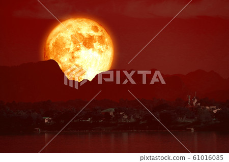 Super Beaver blood Moon back on mountain and Super Beaver blood Moon back on mountain and 61016085