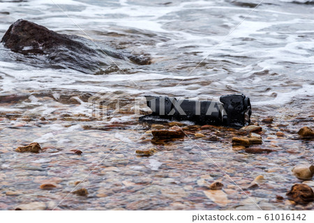 DSLR camera on stone beach wet from water sea wave DSLR camera on stone beach wet from water sea wave 61016142