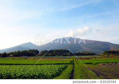 Mt. Asama rising a plume Mt. Asama rising a plume 61016584