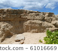 岩壁 61016669