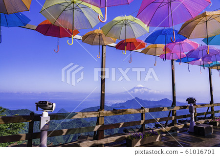 (Shizuoka Prefecture) Izunokuni panorama park umbrella sky 2019 61016701