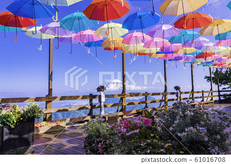 (Shizuoka Prefecture) Izunokuni panorama park umbrella sky 2019 (Shizuoka Prefecture) Izunokuni panorama park umbrella sky 2019 61016708